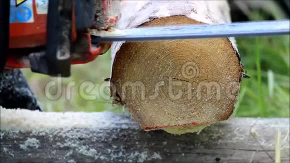 工人在原木上锯这将作为木场上用电锯地板的基础视频的预览图