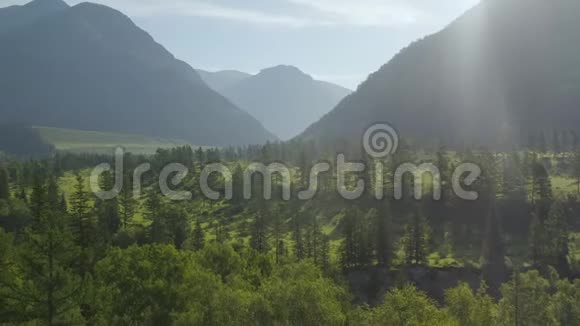 空中无人机景在日落柔和的光线下飞越松树林山河和乡村道路山区视频的预览图