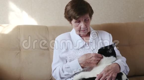 老太婆抚摸猫奶奶玩猫视频的预览图