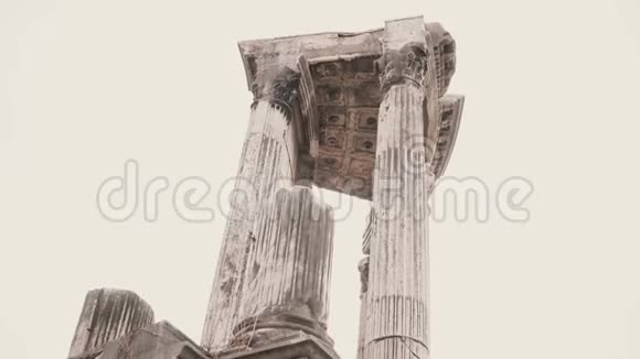 意大利罗马的一个淡淡的迷人景色代表了被南方植物包围的白色古代大理石柱视频的预览图