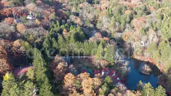 美丽的日本秋季鸟瞰金巴池塘红叶视频的预览图