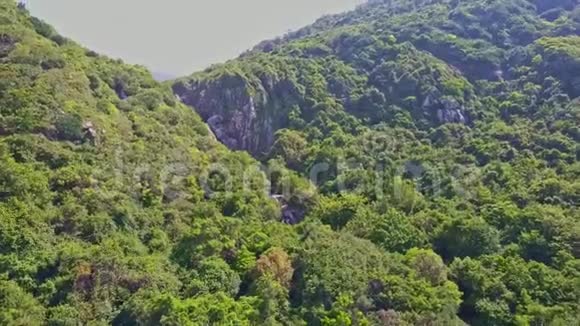 覆盖热带森林的全景空中观景山视频的预览图