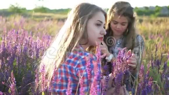女孩们坐在田野上开着丁香花视频的预览图
