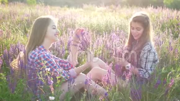 女孩们坐在田野上开着丁香花视频的预览图