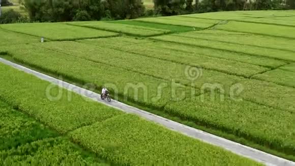 一个年轻人骑着直升机在乡间小路上美丽的山路骑摩托车旅行视频的预览图