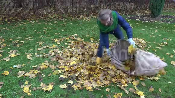 女人把叶子放进花园里的布袋里季节性工作4K视频的预览图