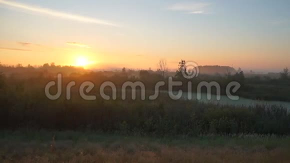 夏天的早晨草地上的日出视频的预览图