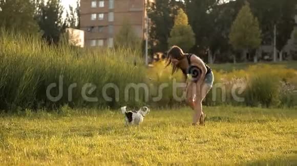 在大自然中和她的狗玩耍的漂亮女孩视频的预览图
