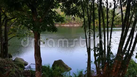 巴拉南01湖周围的热带森林视频的预览图