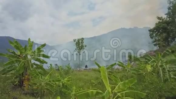 无人机展示香蕉树对抗火烟山和天空视频的预览图