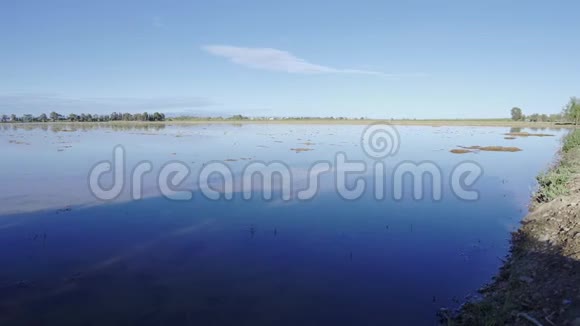 西班牙埃布罗三角洲稻田蓝天水倒影视频的预览图