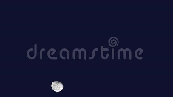 月亮升起了视频的预览图