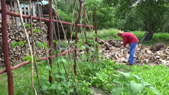 人劈木近乡村花园在树林里做季节性工作4K视频的预览图