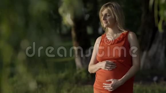 一位孕妇的肖像她享受着最后一缕阳光视频的预览图