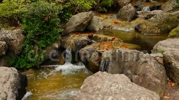 日本花园的瀑布放大视频的预览图
