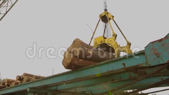用大型起重机卸载原木用机械手卸载原木在锯木厂工作视频的预览图