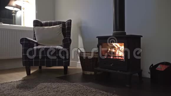 木头燃烧的壁炉和玻璃门视频的预览图