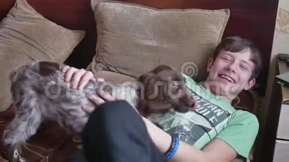 男孩和青少年的友谊在床上和狗一起笑宠物男孩和狗在室内视频的预览图