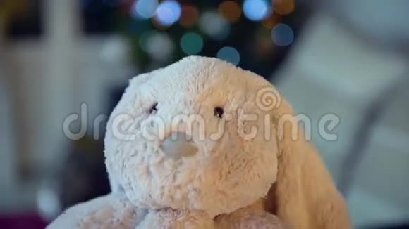 一个六岁的女孩穿着睡衣在圣诞树旁边玩她的兔子玩具视频的预览图