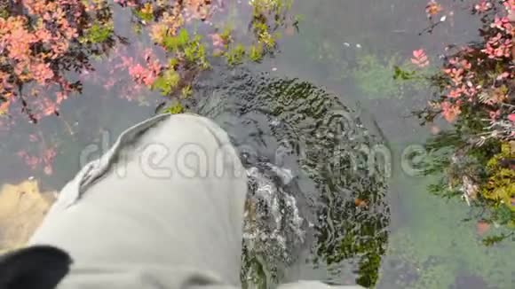 在秋天的雨天人们在橡胶雨靴中漫步Thru水塘4K慢动作卡雷利亚俄罗斯视频的预览图