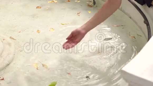 女人牵着她的手穿过喷泉里的水视频的预览图