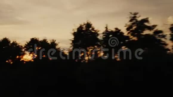 日落时沿着风景优美的乡村旅游树木剪影夕阳西下视频的预览图