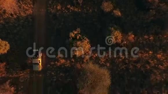 日落时越野车沿着热带草原的小路行驶视频的预览图