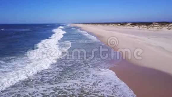 低飞沿沙滩岸视频的预览图