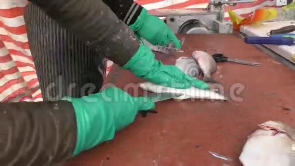 一家鱼店清鱼的过程视频的预览图
