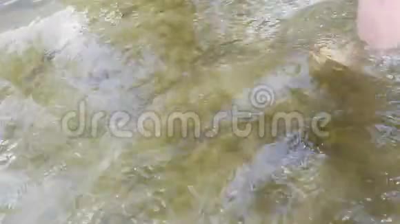 一个女人正在浅水里玩她的脚16岁视频的预览图