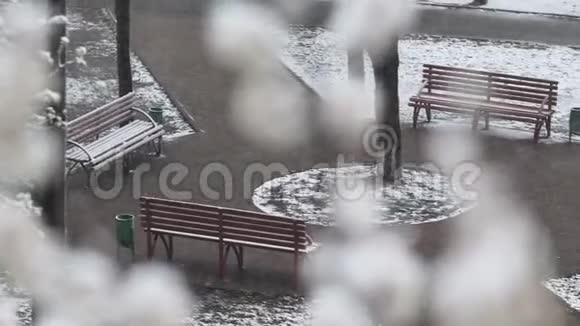 春天城市公园的恶劣天气视频的预览图
