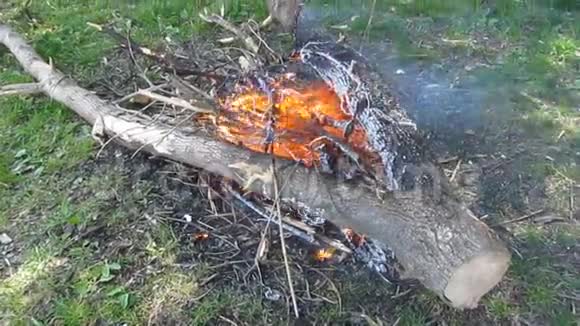 木制的原木和树枝在火焰和烟雾上的滑翔特写22秒视频的预览图