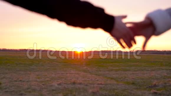 年轻夫妇牵着手跑过宽阔的田野在户外玩得很开心动作很慢视频的预览图