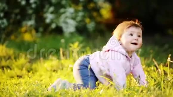 小可爱的宝宝在日落时分在公园的绿草上学习爬行视频的预览图