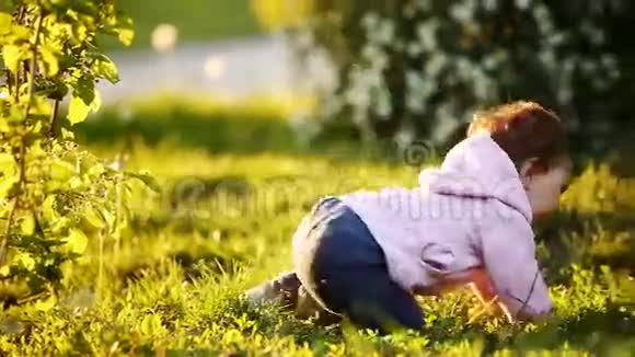 小可爱的宝宝在日落时分在公园的绿草上学习爬行视频的预览图