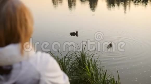 老年妇女在池塘上喂鸭子4K慢动作视频的预览图