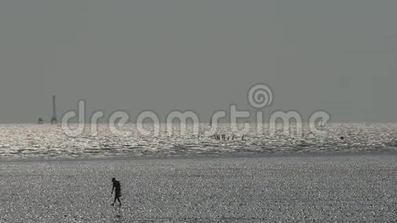 渔夫走在泥滩上捕捉海洋动物视频的预览图
