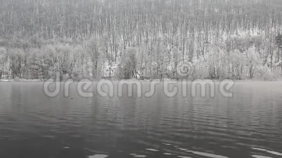 伏塔瓦河上薄雾弥漫的冬日早晨视频的预览图