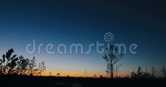 白俄罗斯生物圈保护区贝雷辛斯基秋日黎明景观与沼泽沼泽在日落黑树剪影视频的预览图