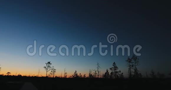 白俄罗斯生物圈保护区贝雷辛斯基秋日黎明景观与沼泽沼泽在日落黑树剪影视频的预览图