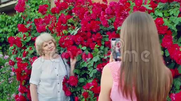 年轻女孩拍老年妇女的照片女儿给妈妈拍照红玫瑰花在背景上视频的预览图
