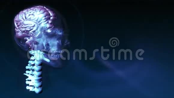 人脑4视频的预览图