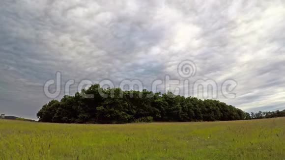 时光流逝的画面树上乌云密布视频的预览图