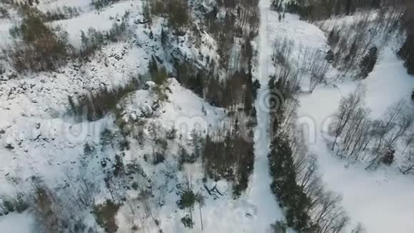 飞越冬天森林的明亮的一天视频的预览图