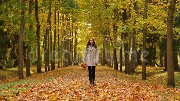 秋天年轻美丽的女人在公园里徘徊手里拿着一束叶子转身扔树叶视频的预览图