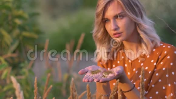 年轻的金发女人在夕阳下的田野里挥舞着金色的闪光慢动作视频的预览图