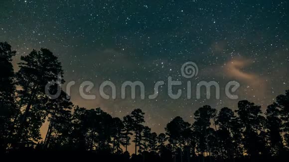 密西西比森林上空的银河系视频的预览图