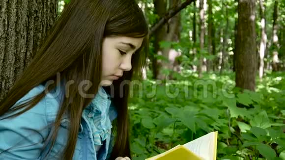 一幅少女认真读书翻页的画春天倚在森林里的树干上学习视频的预览图
