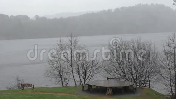 在雨中的Vrynwy湖视频的预览图