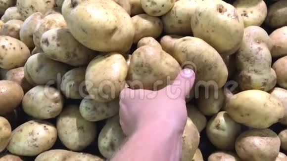 生农场有机薯上市亚洲男人手选土豆视频的预览图